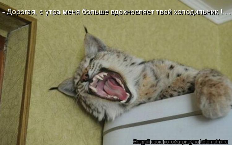 - Дорогая, с утра меня больше вдохновляет твой холодильник !....... Котоматрица: - Дорогая, с утра меня больше вдохновляет твой холодильник !....