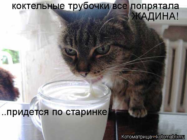 коктельные трубочки все попрятала ЖАДИНА! ..придется по старинке!... Котоматрица: коктельные трубочки все попрятала ЖАДИНА! ..придется по старинке!