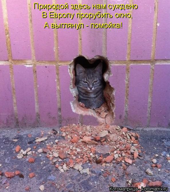 Природой здесь нам суждено В Европу прорубить окно, А выглянул - помойка!... Котоматрица: Природой здесь нам суждено В Европу прорубить окно, А выглянул - помойка!