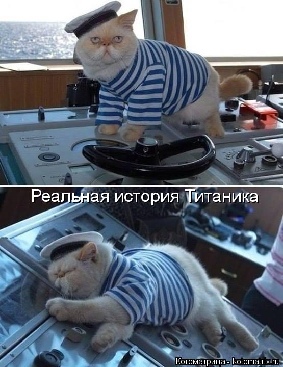 Котоматрица: Реальная история Титаника