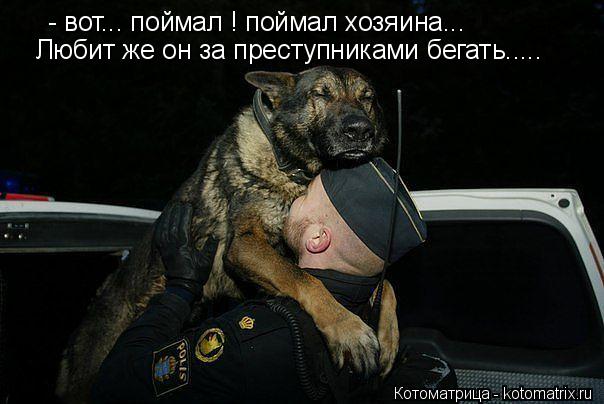 - вот... поймал ! поймал хозяина... Любит же он за преступниками бегать........ Котоматрица: - вот... поймал ! поймал хозяина... Любит же он за преступниками бегать.....