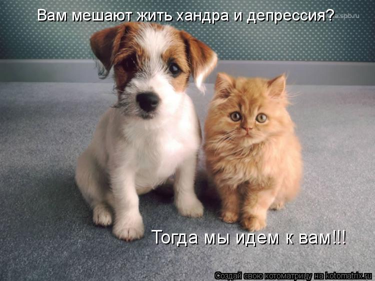 Вам мешают жить хандра и депрессия? Тогда мы идем к вам!!!... Котоматрица: Вам мешают жить хандра и депрессия? Тогда мы идем к вам!!!