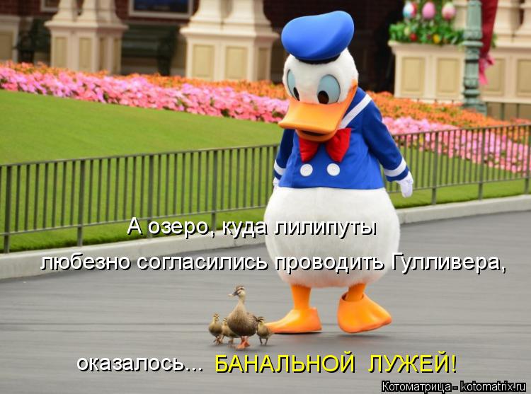Котоматрица: А озеро, куда лилипуты  любезно согласились проводить Гулливера, оказалось...  БАНАЛЬНОЙ  ЛУЖЕЙ!