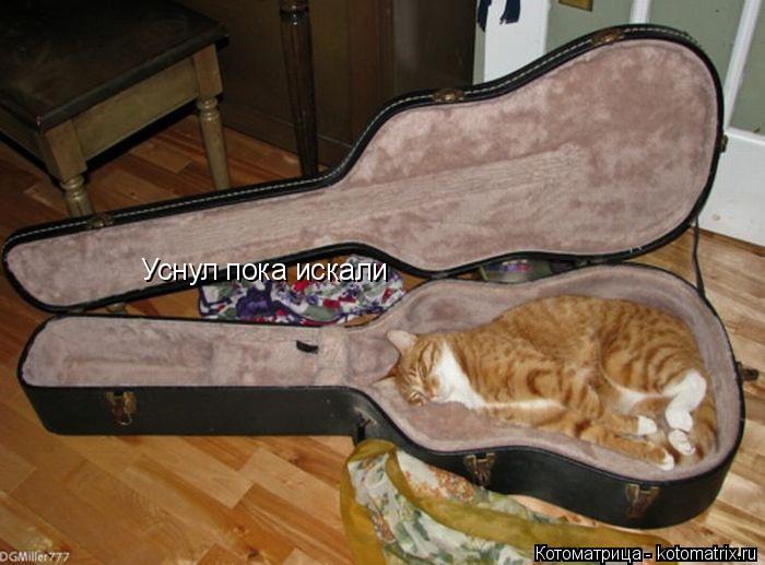 Уснул пока искали... Котоматрица: Уснул пока искали