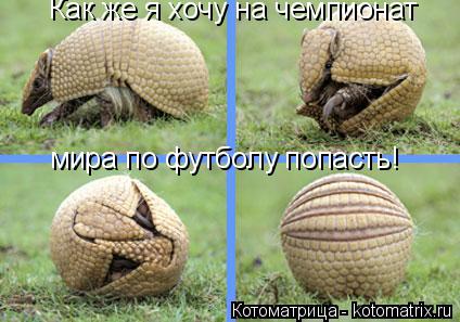 Как же я хочу на чемпионат мира по футболу попасть!... Котоматрица: Как же я хочу на чемпионат мира по футболу попасть!