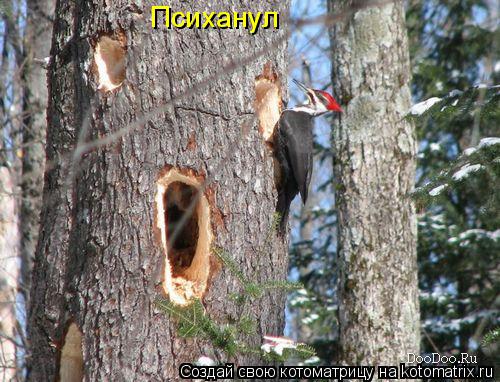 Психанул... Котоматрица: Психанул