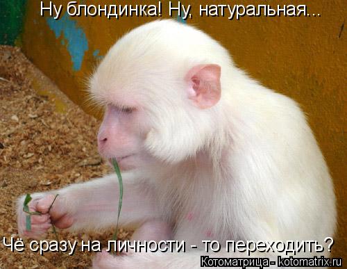 Ну блондинка! Ну, натуральная... Чё сразу на личности - то переходить?... Котоматрица: Ну блондинка! Ну, натуральная... Чё сразу на личности - то переходить?