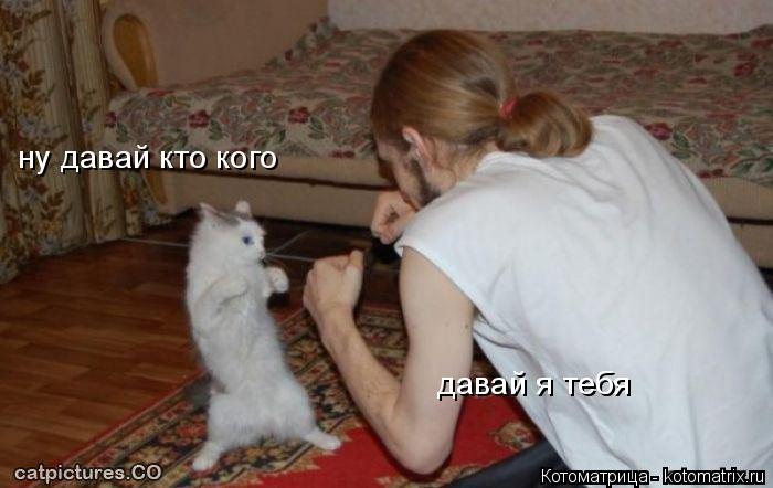 Котоматрица: ну давай кто кого  давай я тебя
