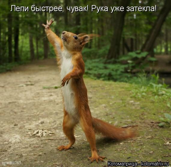 Лепи быстрее, чувак! Рука уже затекла!... Котоматрица: Лепи быстрее, чувак! Рука уже затекла!