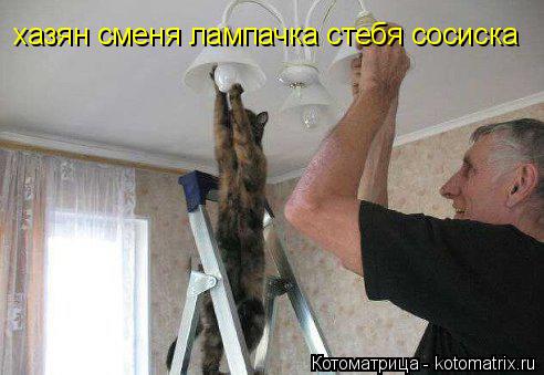 хазян сменя лампачка стебя сосиска... Котоматрица: хазян сменя лампачка стебя сосиска