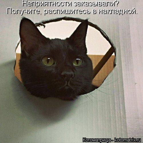 Неприятности заказывали? Получите, распишитесь в накладной.... Котоматрица: Неприятности заказывали? Получите, распишитесь в накладной.