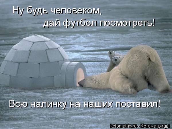 Ну будь человеком, дай футбол посмотреть! Всю наличку на наших поставил!... Котоматрица: Ну будь человеком, дай футбол посмотреть! Всю наличку на наших поставил!
