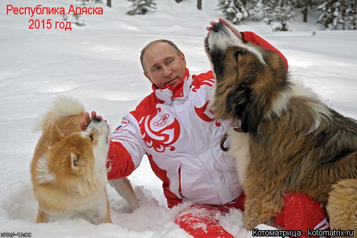 Котоматрица: Республика Аляска 2015 год