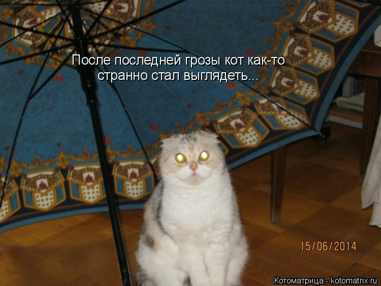 После последней грозы кот как-то странно стал выглядеть...... Котоматрица: После последней грозы кот как-то странно стал выглядеть...