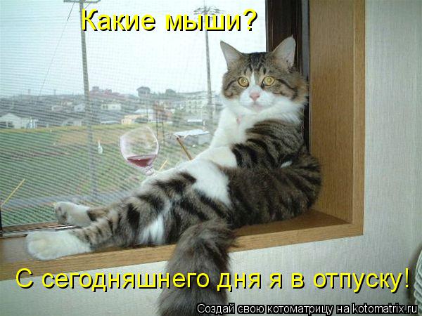Какие мыши? С сегодняшнего дня я в отпуску!... Котоматрица: Какие мыши? С сегодняшнего дня я в отпуску!