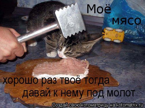 Котоматрица: Моё мясо хорошо раз твоё тогда  давай к нему под молот