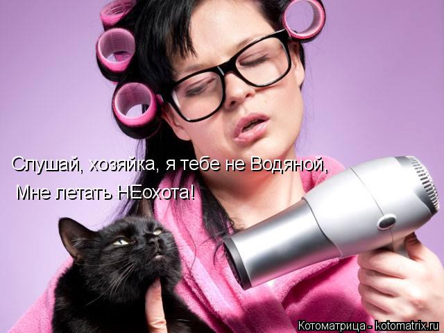 Слушай, хозяйка, я тебе не Водяной, Мне летать НЕохота!... Котоматрица: Слушай, хозяйка, я тебе не Водяной, Мне летать НЕохота!