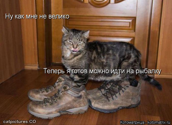 Котоматрица: Ну как мне не велико  Теперь я готов можно идти на рыбалку