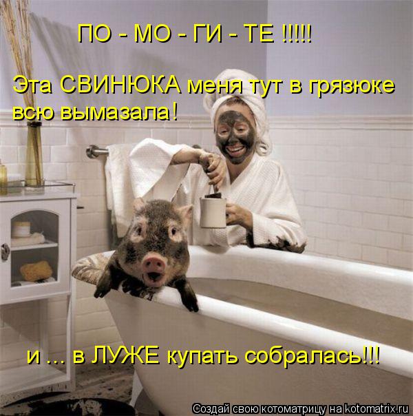 Котоматрица: Эта СВИНЮКА меня тут в грязюке всю вымазала! и ... в ЛУЖЕ купать собралась!!!  ПО - МО - ГИ - ТЕ !!!!!