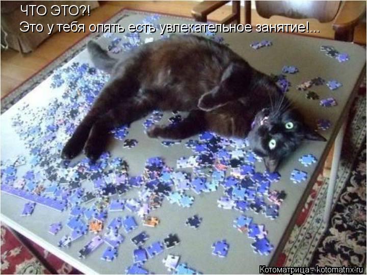 ЧТО ЭТО?! Это у тебя опять есть увлекательное занятие!...... Котоматрица: ЧТО ЭТО?! Это у тебя опять есть увлекательное занятие!...