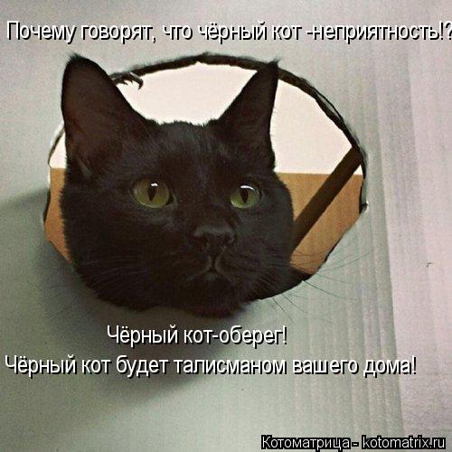 Котоматрица: Почему говорят, что чёрный кот -неприятность!? Чёрный кот-оберег! Чёрный кот будет талисманом вашего дома!