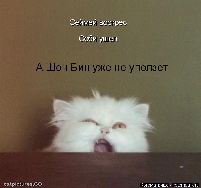 Сеймей воскрес Соби ушел А Шон Бин уже не уползет... Котоматрица: Сеймей воскрес Соби ушел А Шон Бин уже не уползет