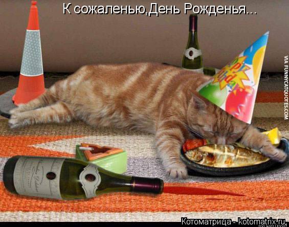 Котоматрица: К сожаленью,День Рожденья...