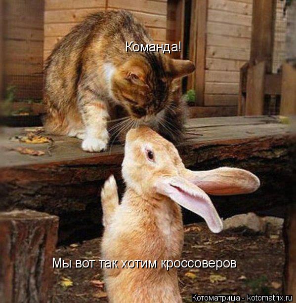 Команда! Мы вот так хотим кроссоверов... Котоматрица: Команда! Мы вот так хотим кроссоверов