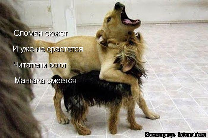 Сломан сюжет И уже не срастется Читатели воют Мангака смеется... Котоматрица: Сломан сюжет И уже не срастется Читатели воют Мангака смеется