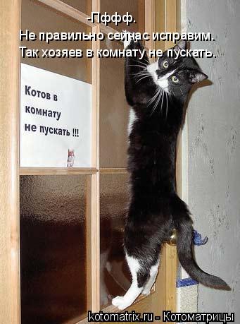 -Пффф. Не правильно сейчас исправим. Так хозяев в комнату не пускать.... Котоматрица: -Пффф. Не правильно сейчас исправим. Так хозяев в комнату не пускать.