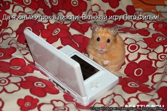 Да я юный игрок в пиэспи! Включай игру Лего Фильм!... Котоматрица: Да я юный игрок в пиэспи! Включай игру Лего Фильм!