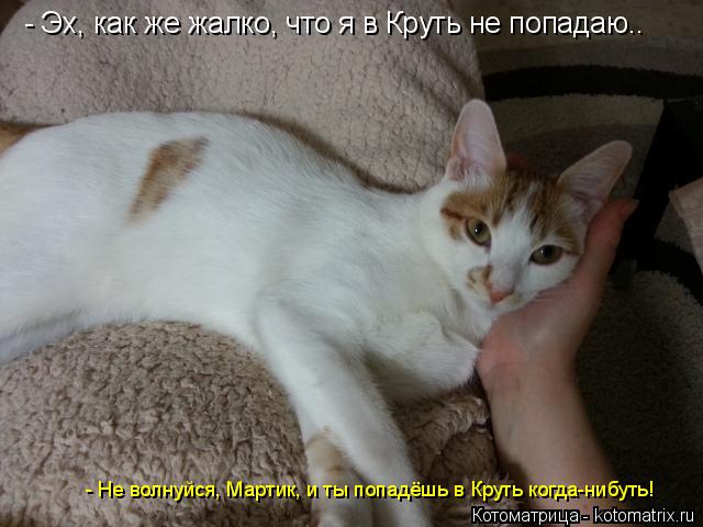 - Эх, как же жалко, что я в Круть не попадаю.. - Не волнуйся, Мартик, и ты попадёшь в Круть когда-ниб... Котоматрица: - Эх, как же жалко, что я в Круть не попадаю.. - Не волнуйся, Мартик, и ты попадёшь в Круть когда-нибуть!