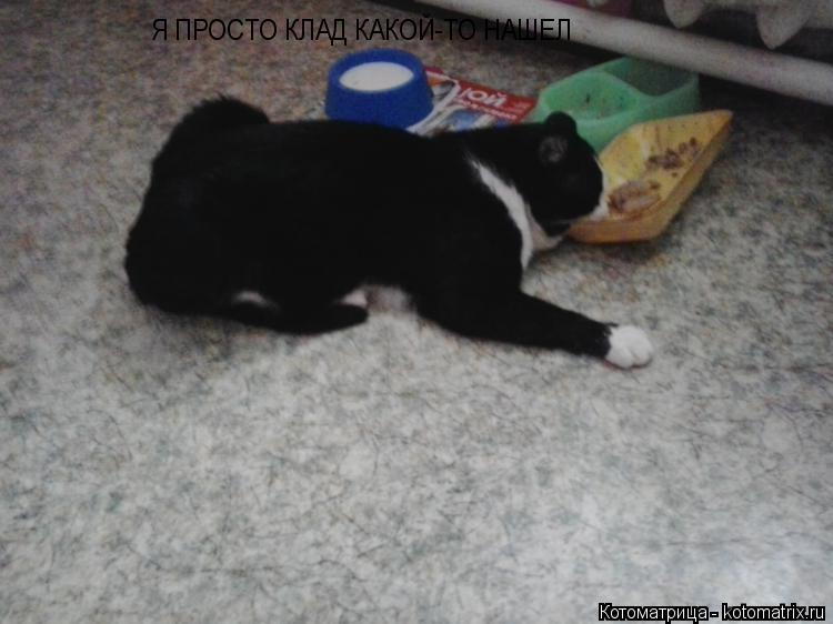 Я ПРОСТО КЛАД КАКОЙ-ТО НАШЕЛ... Котоматрица: Я ПРОСТО КЛАД КАКОЙ-ТО НАШЕЛ