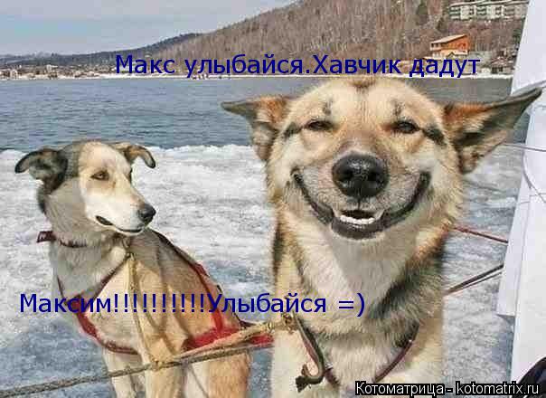 Котоматрица: Макс улыбайся.Хавчик дадут Максим!!!!!!!!!!Улыбайся =)