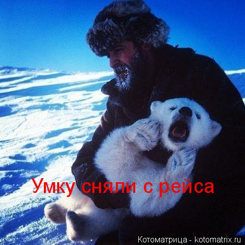 Умку сняли с рейса... Котоматрица: Умку сняли с рейса