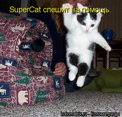 SuperCat спешит на помощь.... Котоматрица: SuperCat спешит на помощь.