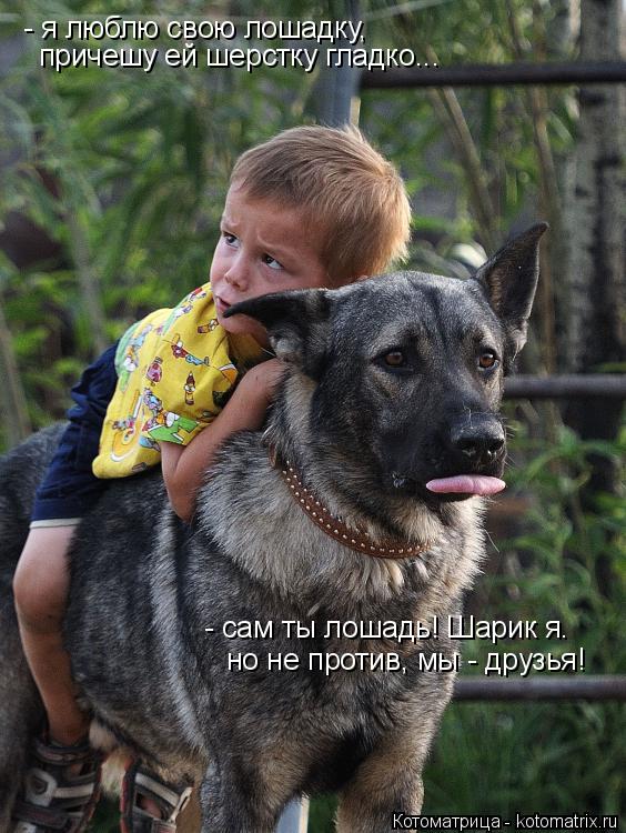 - я люблю свою лошадку, причешу ей шерстку гладко... - сам ты лошадь! Шарик я. но не против, мы - дру... Котоматрица: - я люблю свою лошадку, причешу ей шерстку гладко... - сам ты лошадь! Шарик я. но не против, мы - друзья!