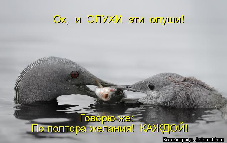 Ох, и ОЛУХИ эти олуши! По полтора желания! КАЖДОЙ! Говорю же:... Котоматрица: Ох, и ОЛУХИ эти олуши! По полтора желания! КАЖДОЙ! Говорю же: