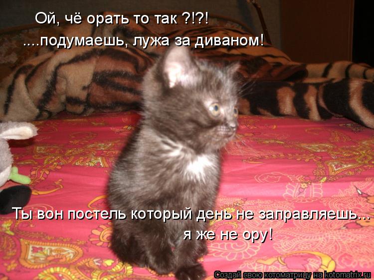 Котоматрица: Ой, чё орать то так ?!?! ....подумаешь, лужа за диваном! Ты вон постель который день не заправляешь... я же не ору!