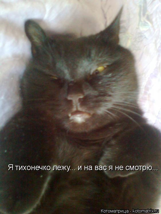 Я тихонечко лежу... и на вас я не смотрю...... Котоматрица: Я тихонечко лежу... и на вас я не смотрю...
