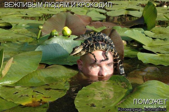 ВЕЖЛИВЫМ ЛЮДЯМ И КРОКОДИЛ ПОМОЖЕТ... Котоматрица: ВЕЖЛИВЫМ ЛЮДЯМ И КРОКОДИЛ ПОМОЖЕТ