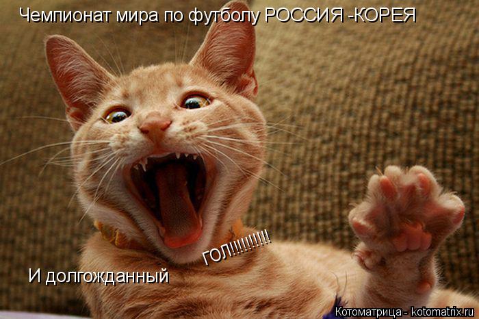 Чемпионат мира по футболу РОССИЯ -КОРЕЯ И долгожданный ГОЛ!!!!!!!!!!... Котоматрица: Чемпионат мира по футболу РОССИЯ -КОРЕЯ И долгожданный ГОЛ!!!!!!!!!!