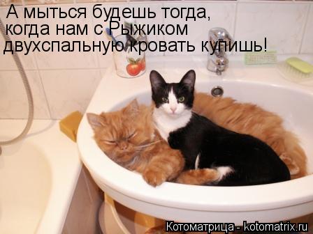 Котоматрица: А мыться будешь тогда, когда нам с Рыжиком  двухспальную кровать купишь!