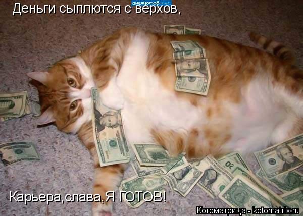 Котоматрица: Деньги сыплются с верхов, Карьера,слава,Я ГОТОВ!