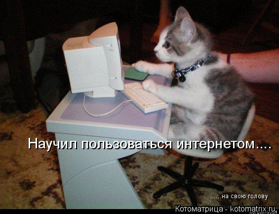 Научил пользоваться интернетом.... ......на свою голову... Котоматрица: Научил пользоваться интернетом.... ......на свою голову