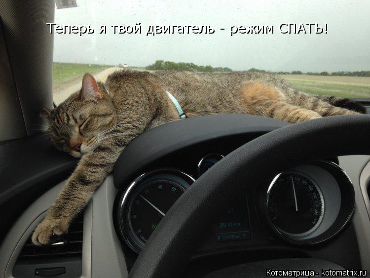 Теперь я твой двигатель - режим СПАТЬ!... Котоматрица: Теперь я твой двигатель - режим СПАТЬ!
