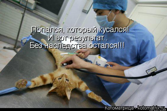 Попался, который кусался! И вот результат.. Без наследства остался!!!... Котоматрица: Попался, который кусался! И вот результат.. Без наследства остался!!!