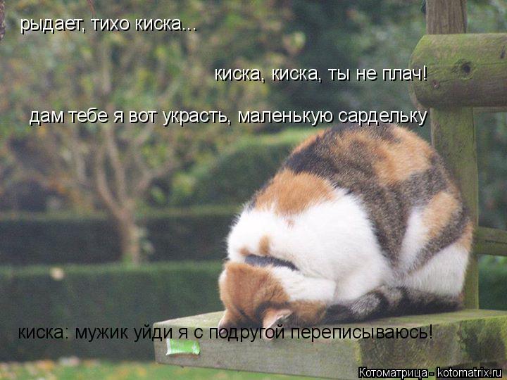 Котоматрица: рыдает, тихо киска... киска, киска, ты не плач! дам тебе я вот украсть, маленькую сардельку киска: мужик уйди я с подругой переписываюсь!