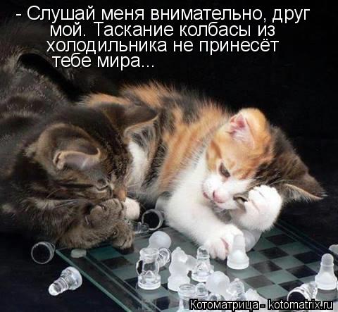 - Слушай меня внимательно, друг мой. Таскание колбасы из холодильника не принесёт тебе мира...... Котоматрица: - Слушай меня внимательно, друг мой. Таскание колбасы из холодильника не принесёт тебе мира...