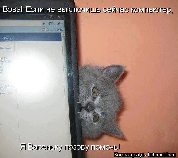 Котоматрица: Вова! Если не выключишь сейчас компьютер, Я Васеньку позову помочь!